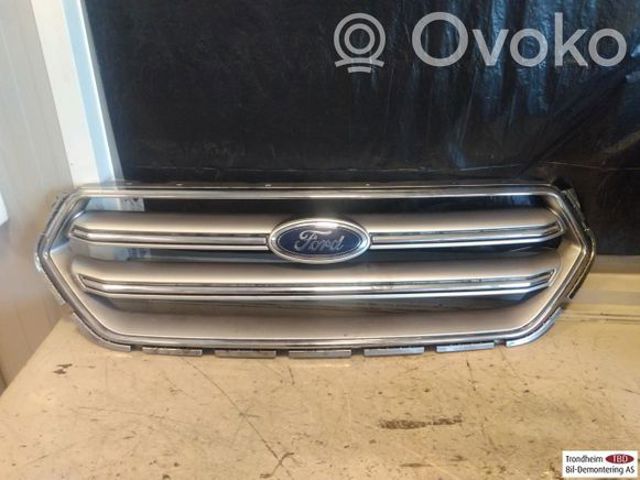 Захисна решітка радіатора 2058454 FORD