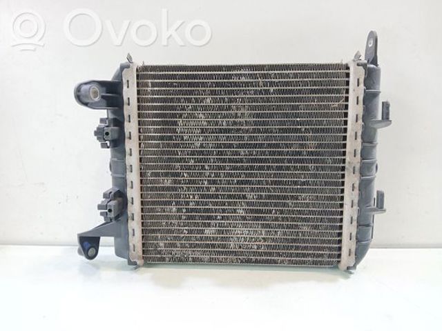 214100045R Renault (RVI)