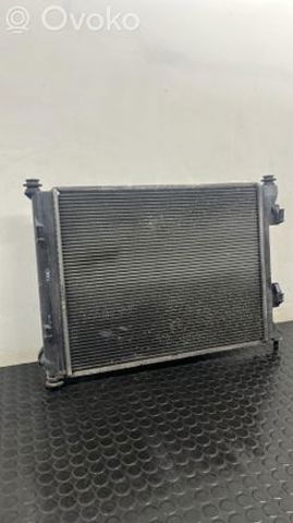 Підвіска радіатора 253101P200 HYUNDAI