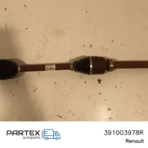 391003978R Renault (RVI)