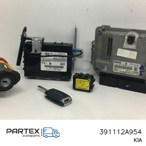 391112A954 Hyundai/Kia