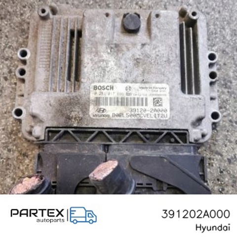 Блок двигуна 391202A000 HYUNDAI
