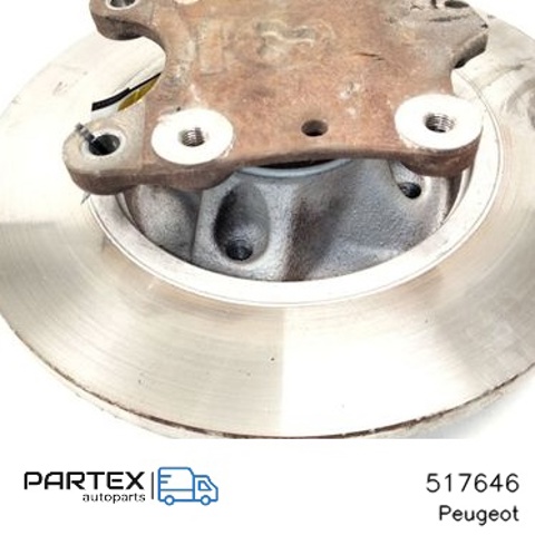 Цапфа - поворотний кулак заднім виходом, 517646 PEUGEOT
