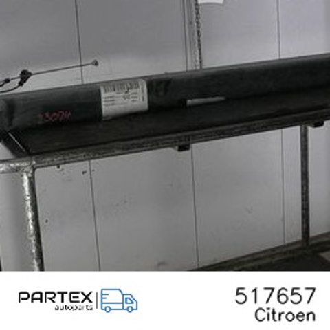 Цапфа - поворотний кулак задній, лівий 517657 PEUGEOT