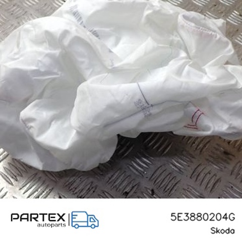 Подушка безпеки пасажира 5E3880204G VAG