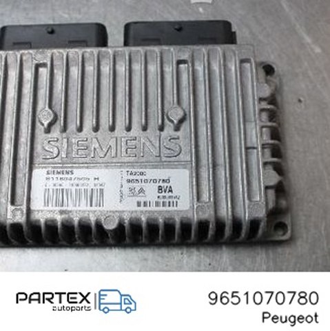 9651070780 Peugeot/Citroen