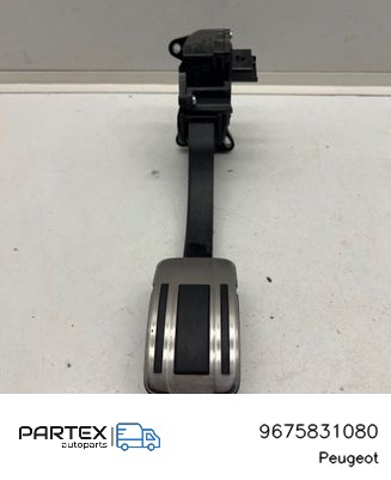 9675831080 Peugeot/Citroen