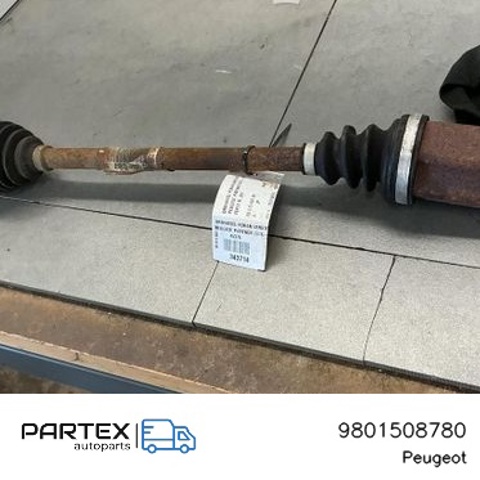 9801508780 Peugeot/Citroen