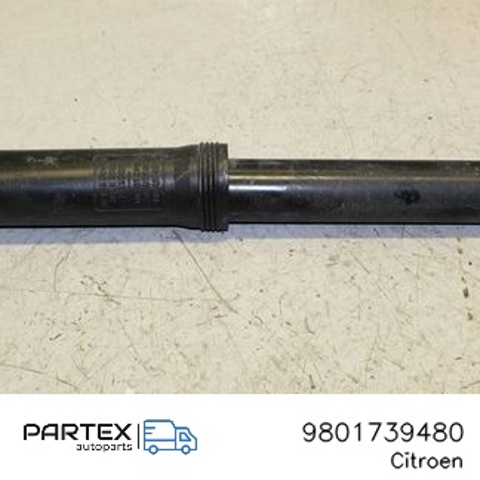 9801739480 Peugeot/Citroen