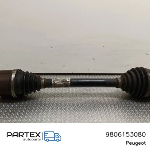 9806153080 Peugeot/Citroen