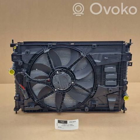 9817002580 Peugeot/Citroen