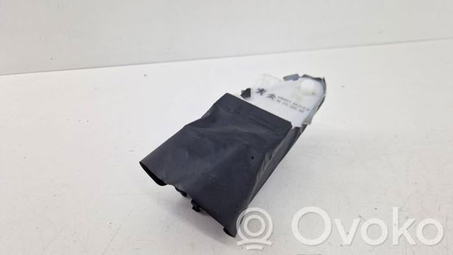 9817800080 Peugeot/Citroen