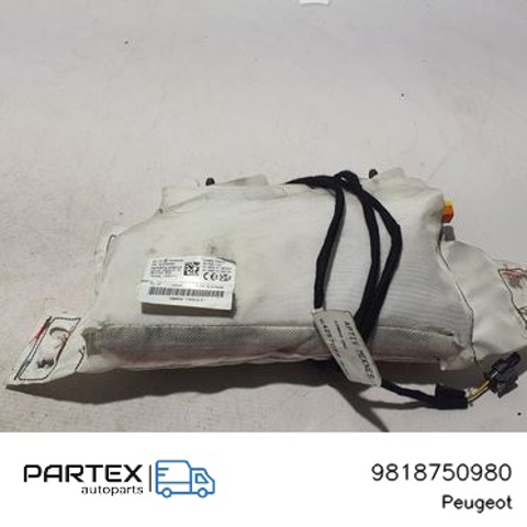 9818750980 Peugeot/Citroen