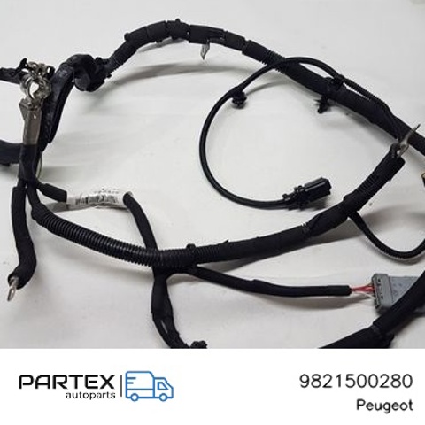 9821500280 Peugeot/Citroen