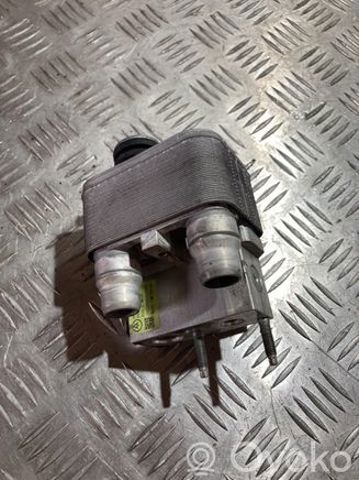 9821712380 Peugeot/Citroen