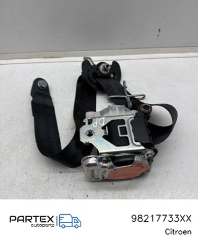 98217733XX Peugeot/Citroen