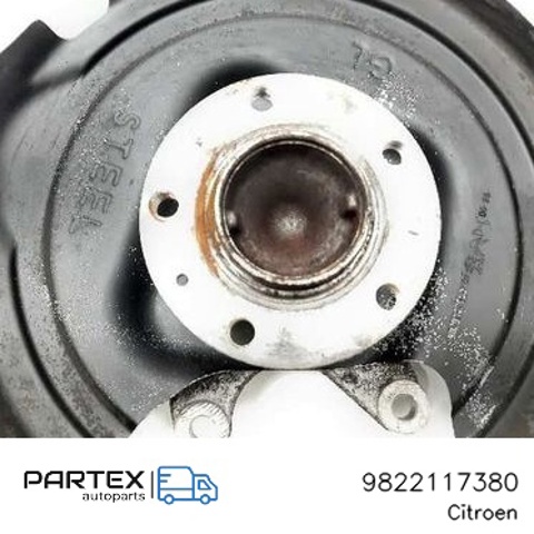 9822117380 Peugeot/Citroen