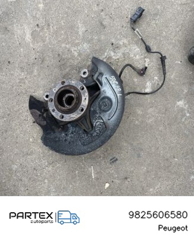 9825606580 Peugeot/Citroen