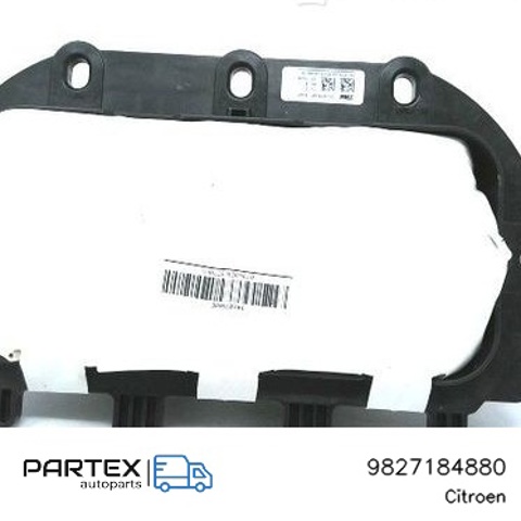 9827184880 Peugeot/Citroen