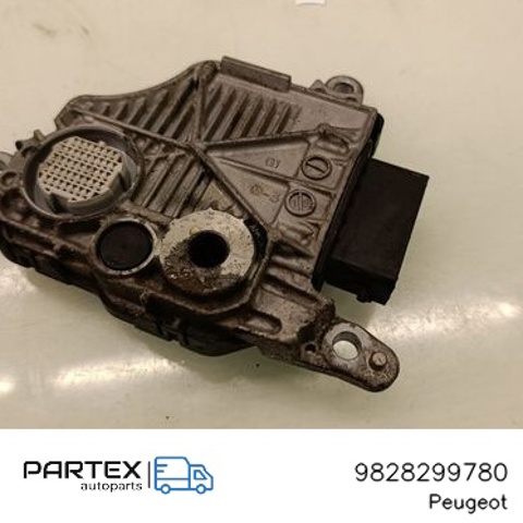 9828299780 Peugeot/Citroen
