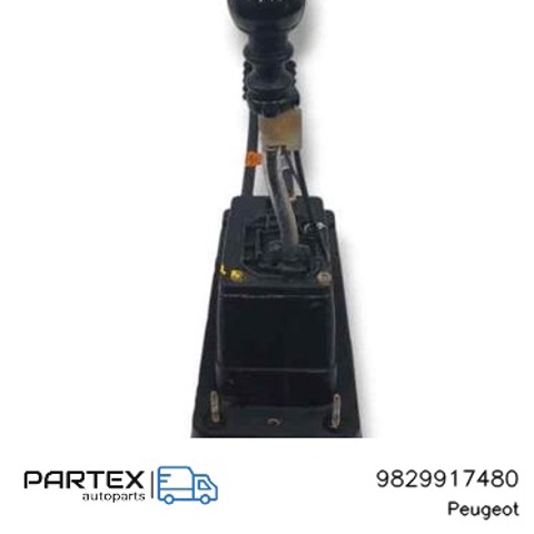 9829917480 Peugeot/Citroen