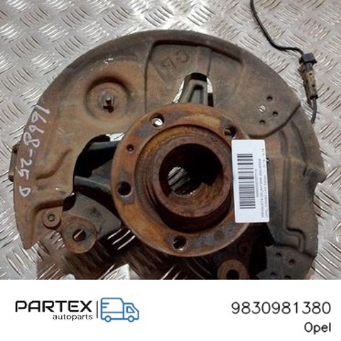 9830981380 Peugeot/Citroen