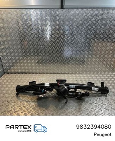 9832394080 Peugeot/Citroen