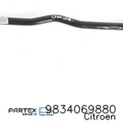 9834069880 Peugeot/Citroen