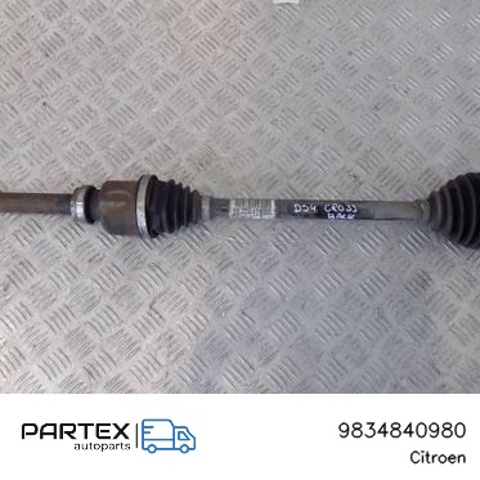 9834840980 Peugeot/Citroen