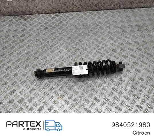 9840521980 Peugeot/Citroen