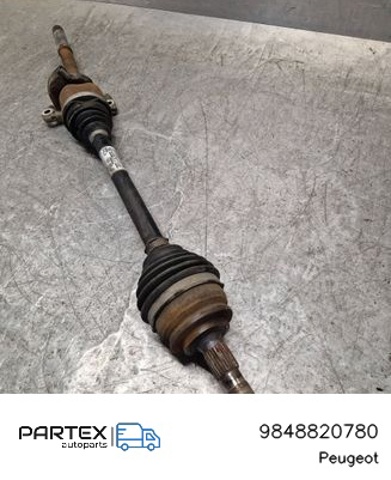 9848820780 Peugeot/Citroen