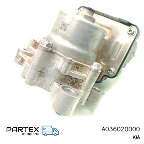 A036020000 Hyundai/Kia