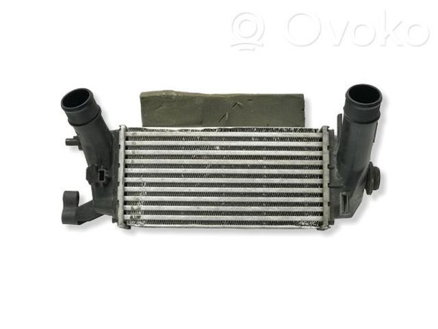Охолоджувач наддувочного повітря H1BG6K775AC FORD
