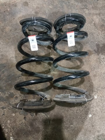 Пружина задня 104447201E TESLA