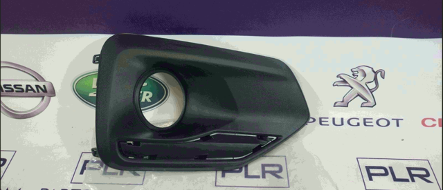 Заглушка протитуманки передньої правої PLR5102341 PLRsolutions
