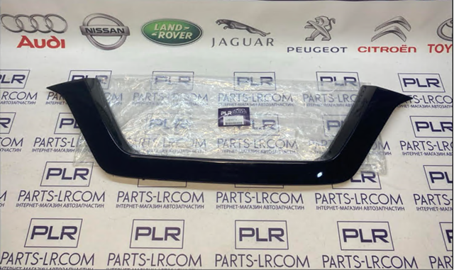 Молдинг переднього бампера, центральний PLR5168724 PLRsolutions