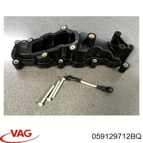 Колектор впускний, правий 059129712BQ VAG