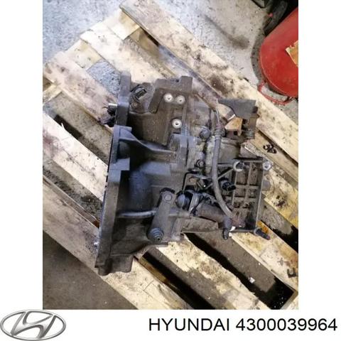 МКПП 4300039964 HYUNDAI