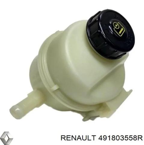 Бачок гідропідсилювача 491803558R RENAULT