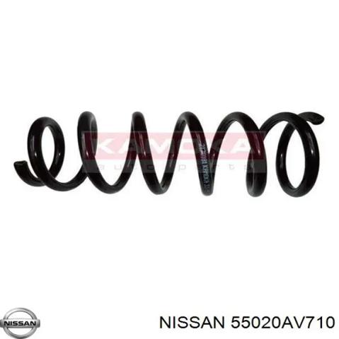 Пружини задні 55020AV710 NISSAN
