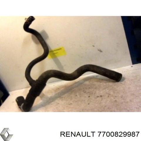 Шланг/патрубок радіатора охолодження, нижній 7700829987 RENAULT