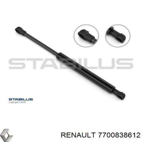 Амортизатор кришки багажника / двері 3/5-ї задньої 7700838612 RENAULT
