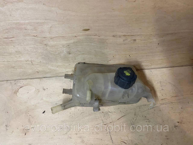 Водяний бачок системи охолодження 217100005R RENAULT