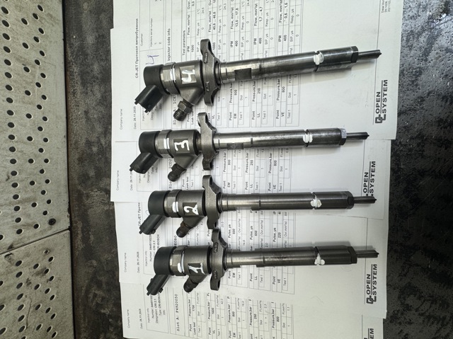 Форсунка паливна 0445110239 FORD