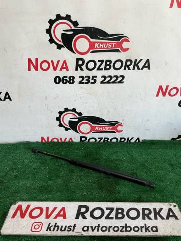 Амортизатор двері 3/5-ї задньої 1T0827550H VAG