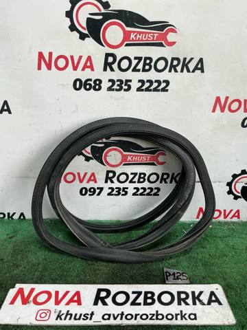Ущільнювач двері бічний/зсувний 2K0843791A VAG