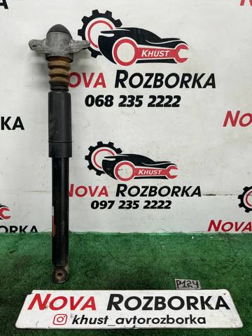 Амортизатори задні 3C0513049BP VAG