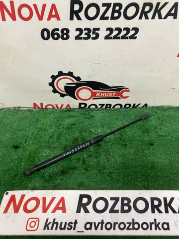 Амортизатор задньої ляди 3C9827550C VAG