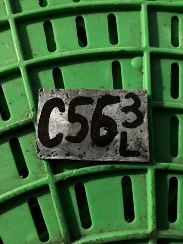 Підкрилок заднього крила, лівий 3G0810971F VAG