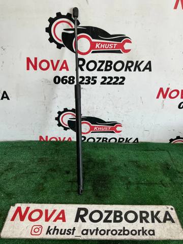Амортизатор ляди 3G9827550A VAG